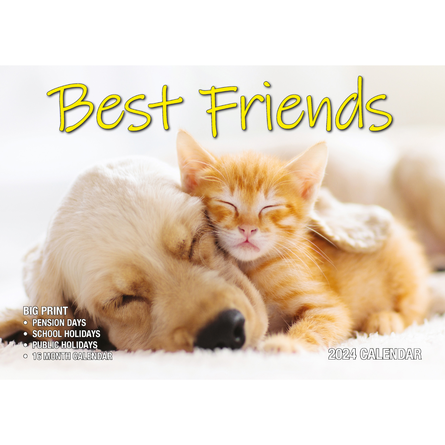 Best Friends 2024 Rectangle Wall Calendar 16 Months Animals