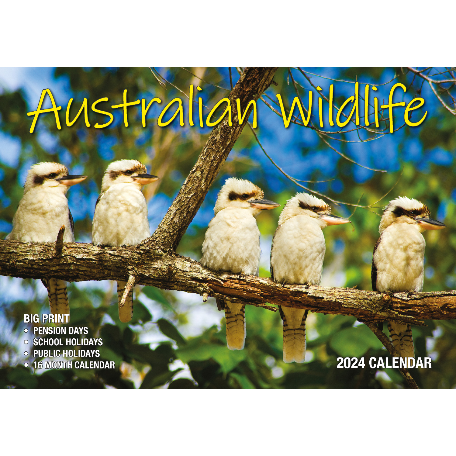 Australian Wildlife 2024 Rectangle Wall Calendar 16 Months Animal   V474 614569 