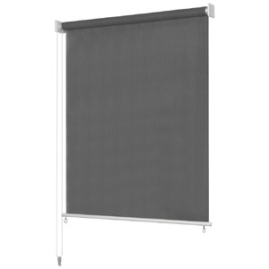 Outdoor Roller Blind 300x140 cm Anthracite