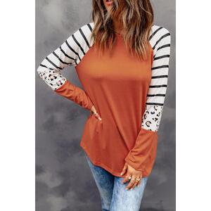 Azura Exchange Animal Print Long Sleeve Top with Striped Colorblock