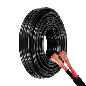 4MM 10M Twin Core Wire Electrical Cable Extension Car 450V 2 Sheath