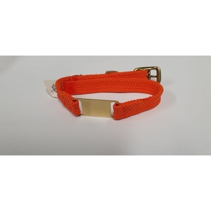 Mendota Products - ID Junior Dog Collar with Brass Tag - SIZES: 35CM,  - Made in the USA - Orange