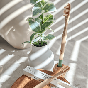 Adult Bamboo Toothbrush Set of 2