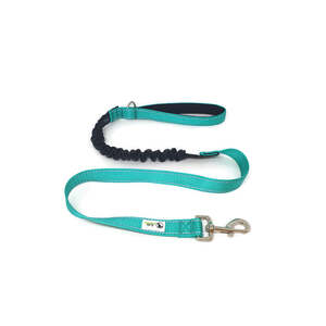 Bungee Dog Lead Nylon w/Reflective Stitching - Moondidley Pets Turquoise