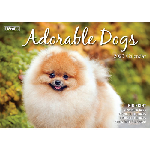 Adorable Dogs – 2023 Rectangle Wall Calendar 16 Months Planner New Year Gift