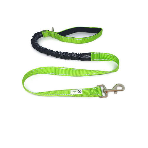 Bungee Dog Lead Nylon w/Reflective Stitching - Moondidley Pets Green