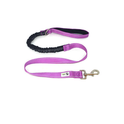 Bungee Dog Lead Nylon w/Reflective Stitching - Moondidley Pets Purple